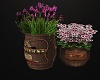 Western Potted Plant4