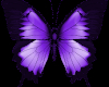 Flutterbyes