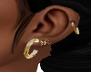 Multi Gold Earrings