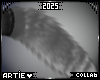A* Jun | Kitty Tail