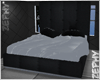 Z | His Poseless Bed