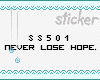 `SS501 Never Lose Hope
