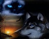 Wolf & Cat  Picture
