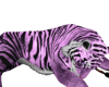 ☢ Tiger Brush Lt Pink