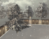 Winter Family House
