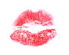 Scarlets Kiss