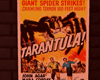 TARANTULA!