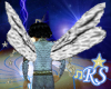fairy knight wings4[m]