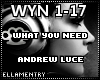 What You Need-AndrewLuce