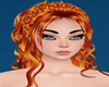 !  NINERIA  GINGER