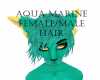 AquaMarineMale/FemHair