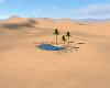 Desert Oasis nature