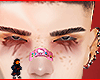Harris brows