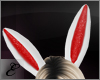 E~Easter Bunny Ears