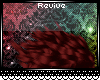 RE- Morphine Red 2/3