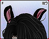 Bunnie ears black F.