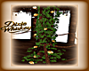 DW PEACH ROSE TREE VINE