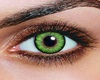 *ENYO* Green Eyes (F)