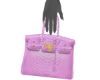 Mini SftPnk B!rken