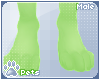 [Pets] Kira | feet 