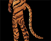 tiger tail 2