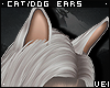 v. Cat/Dog Ears: Thaw