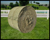 Round Bale Of Hay
