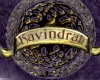Kavindrah Tag (Gold)