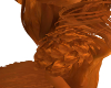 CopperFurryShoulderTufts