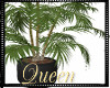 !Q M Potted Plant