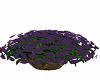 Purple flowers W/basket