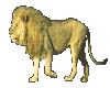 lion Sticker top