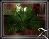 ~Z~ Tropical Plant Lily