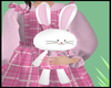 Kid Pink Plaid Bunny