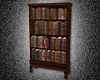 Back To School Bookcase