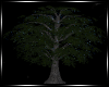 Tree + Lights