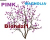 PINK MAGNOLIA