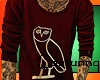$inq HYFR Owl Sweater