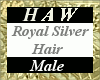 Royal Silver Hair - M