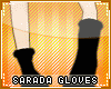 !T Sarada glove + band