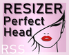 RSS PERFECT HEAD RESIZER
