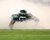 Brian Dawkins Poster