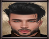 *L* Harrison Black