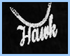 CC* Hawk Necklace