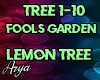 Fools Garden Lemon Tree