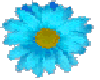 BLUE SPINNING FLOWER
