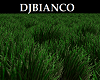 Grass DJ LIGHT