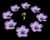 *Q Lavender Light Flower