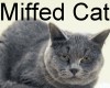 Miffed Cat (animated)