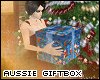 [P] aussie xmas giftbox